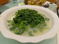 -五谷芳乳鸽王(海景店)