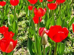 -长春公园(普阳街道)