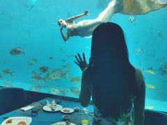 -瑞德姆美人鱼海底演艺主题餐厅(亚龙湾店)