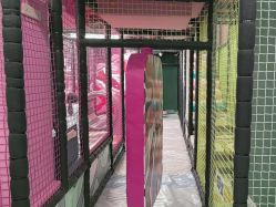 -MELAND CLUB亲子乐园·派对·餐厅(北京芳圆里ID MALL店)
