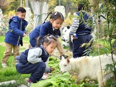 -上海松江区迪笙幼儿园