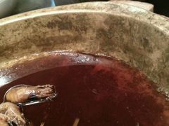 恐怖的河虾-阿英煲(凉城路店)