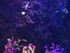 -海合安青岛极地海洋公园