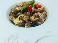 熟醉大花螺-和记小菜(大宁店)