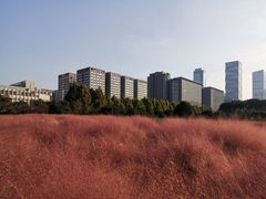 -南京奥林匹克体育中心