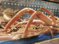 -蟹将军·松叶蟹和牛日料放题自助(K11店)