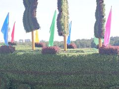 -大兴滨河森林公园