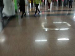 -飞翔公园(地铁站)