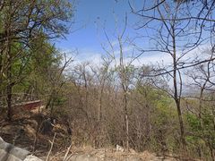 -鹫峰国家森林公园