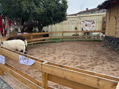 -HERRE·FARM 赫尔露营农场·团建聚会包场