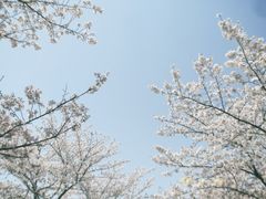 -上海辰山植物园