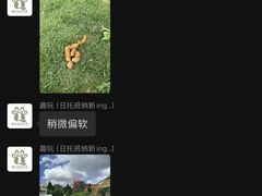-趣玩宠物乐园寄养训犬训狗游泳池
