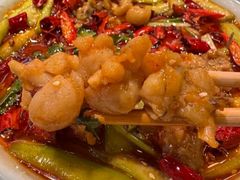 -杨氏青龙虾·羊蝎子(珠江路店)