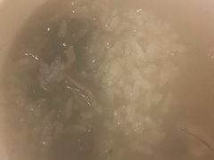 -百成大同鸭肉粥(大同总店)