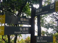 -深圳仙湖植物园-停车场