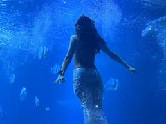 -太平洋海底世界