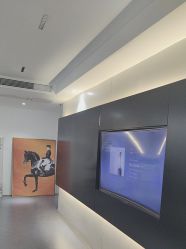 -春田皮肤管理中心品牌旗舰店