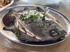 -七鲜渔港美食餐厅(巽寮湾海景店)