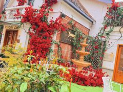 -弗兰克牛排西餐厅Ribone steak house(柠檬花园店)