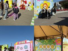 -威海华夏城景区