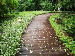 -上海市保健医疗中心