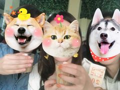 -老光明岗琼甜茶馆