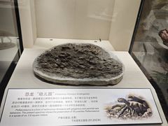 -辽宁古生物博物馆