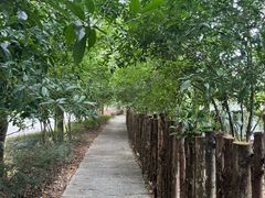 -福建鲤鱼洲酒店