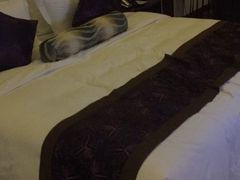 -深圳圣淘沙酒店(翡翠店)
