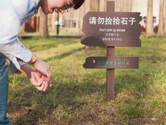 -黄海国家森林公园