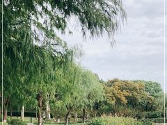 -黄兴公园