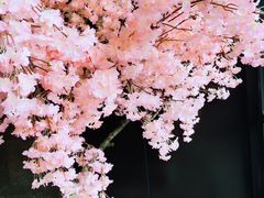 -巴斯漫温泉汗蒸馆(贡湖大道店)