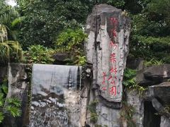 -广州市流溪河国家森林公园