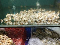 -南海渔家•海鲜•正宗海南菜(海棠湾店)