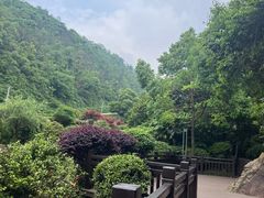 -桃花岭景区