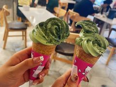 -THE MATCHA TOKYO抹茶东京