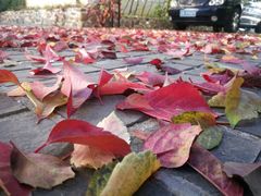 -大连罗马假日酒店温泉