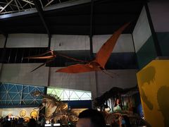 -湖南省地质博物馆