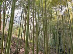 -仙岛湖旅游风景区