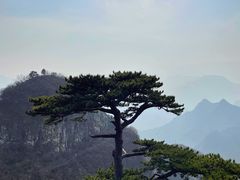 -圣莲山风景区