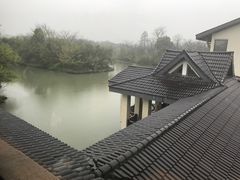 -太极禅苑