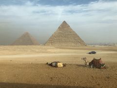 -吉萨金字塔群