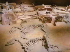 -洛阳周王城天子驾六博物馆