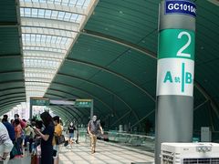 -龙阳路磁悬浮列车总站-停车场