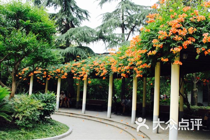 延春公园图片 - 第86张