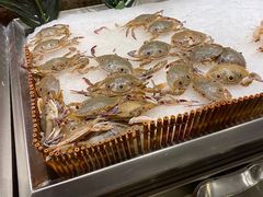 -吉布鲁牛排海鲜自助(龙湖北城天街购物广场店)