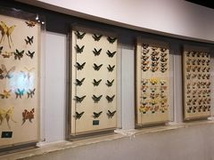 -陕西自然博物馆