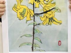 -向日葵艺术中心美术(虹桥南丰城校区)
