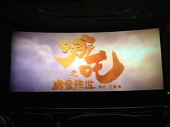 -保利国际影城(保利文化广场店)