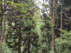 -罗田薄刀峰风景区